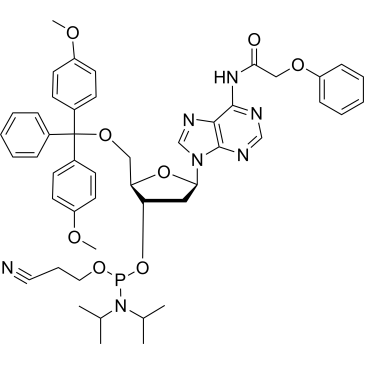 DMT-dA(PAc) Phosphoramidite|CS-0159229