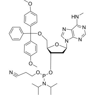 N6-Methyl-dA phosphoramidite|CS-0159230