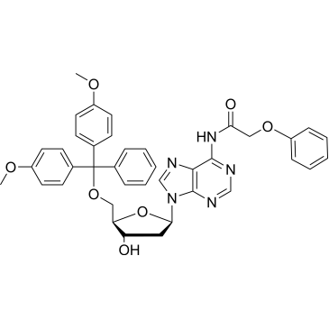 5'-O-DMT-PAC-dA|CS-0159293
