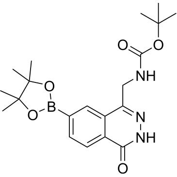 tert-Butyl ((4-oxo-7-(4,4,5,5-tetramethyl-1,3,2-dioxaborolan-2-yl)-3,4-dihydrophthalazin-1-yl)methyl)carbamate|CS-0159749