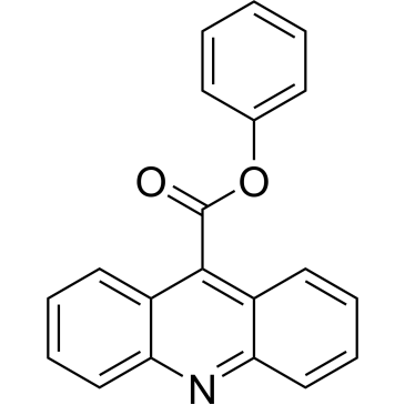 Phenyl acridine-9-carboxylate|CS-0160351