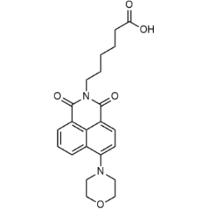 6-(6-Morpholino-1,3-dioxo-1H-benzo[de]isoquinolin-2(3H)-yl)hexanoic acid|CS-0160608