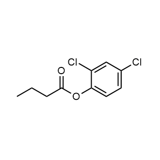 2,4-Dichlorophenyl butyrate|CS-0163036