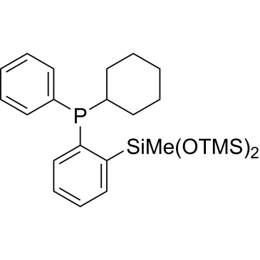 Cyclohexyl(2-(1,1,1,3,5,5,5-heptamethyltrisiloxan-3-yl)phenyl)(phenyl)phosphane|CS-0163476