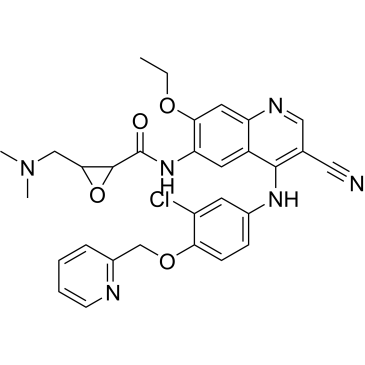 N-(4-((3-Chloro-4-(pyridin-2-ylmethoxy)phenyl)amino)-3-cyano-7-ethoxyquinolin-6-yl)-3-((dimethylamino)methyl)oxirane-2-carboxamide (Neratinib Impuruity）|CS-0164167