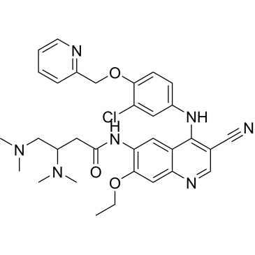 N-(4-((3-chloro-4-(pyridin-2-ylmethoxy)phenyl)amino)-3-cyano-7-ethoxyquinolin-6-yl)-3,4-bis(dimethylamino)butanamide  (Neratinib Impuruity）|CS-0164170