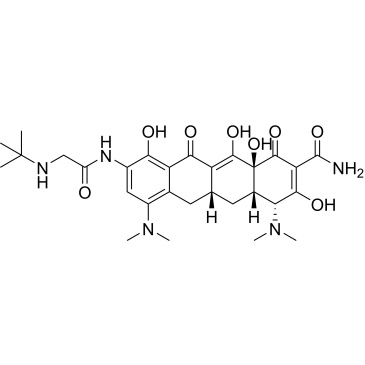 (4R,4aS,5aR,12aS)-9-(2-(tert-Butylamino)acetamido)-4,7-bis(dimethylamino)-3,10,12,12a-tetrahydroxy-1,11-dioxo-1,4,4a,5,5a,6,11,12a-octahydrotetracene-2-carboxamide (Tigecycline Impuruity）|CS-0164549