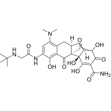 (1S,4aR,4bR,10aR,11aR)-7-(2-(tert-Butylamino)acetamido)-9-(dimethylamino)-1,4,4a,6-tetrahydroxy-2,5,12-trioxo-1,2,4a,5,10,10a,11,11a-octahydro-1,4b-methanobenzo[b]fluorene-3-carboxamide (Tigecycline Impuruity）|CS-0164550