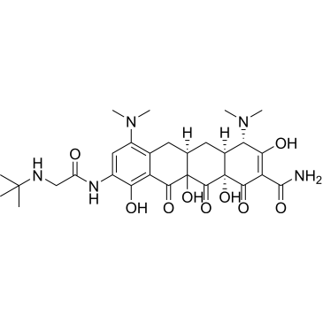(4S,4aS,5aR,12aR)-9-(2-(tert-Butylamino)acetamido)-4,7-bis(dimethylamino)-3,10,11a,12a-tetrahydroxy-1,11,12-trioxo-1,4,4a,5,5a,6,11,11a,12,12a-decahydrotetracene-2-carboxamide (Tigecycline Impurity）|CS-0164553