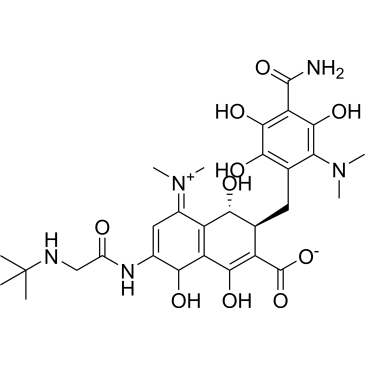 (3S,4R)-7-(2-(tert-butylamino)acetamido)-3-(4-carbamoyl-2-(dimethylamino)-3,5,6-trihydroxybenzyl)-5-(dimethyliminio)-1,4,8-trihydroxy-3,4,5,8-tetrahydronaphthalene-2-carboxylate  (Tigecycline Impuruity）|CS-0164562