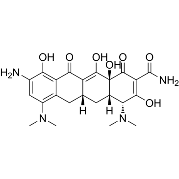 (4R,4aS,5aR,12aS)-9-amino-4,7-bis(dimethylamino)-3,10,12,12a-tetrahydroxy-1,11-dioxo-1,4,4a,5,5a,6,11,12a-octahydrotetracene-2-carboxamide  Tigecycline Impurity|CS-0164572