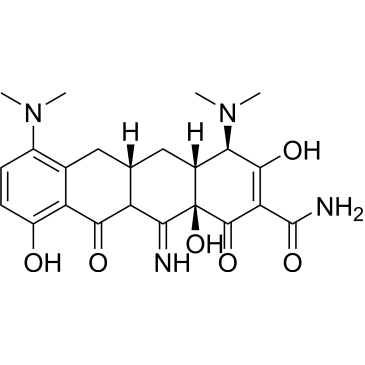 (4R,4aR,5aS,12aR)-4,7-Bis(dimethylamino)-3,10,12a-trihydroxy-12-imino-1,11-dioxo-1,4,4a,5,5a,6,11,11a,12,12a-decahydrotetracene-2-carboxamide (Minocycline Impuruity）|CS-0164635