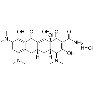 (4S,4aS,5aR,12aS)-4,7,9-Tris(dimethylamino)-3,10,12,12a-tetrahydroxy-1,11-dioxo-1,4,4a,5,5a,6,11,12a-octahydrotetracene-2-carboxamide Hydrochloride (Minocycline Impuruity）|CS-0164637