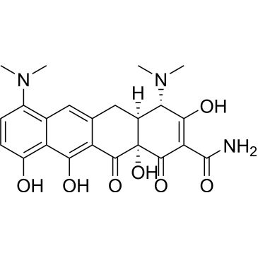 (4S,4aS,12aS)-4,7-Bis(dimethylamino)-3,10,11,12a-tetrahydroxy-1,12-dioxo-1,4,4a,5,12,12a-hexahydrotetracene-2-carboxamide (Minocycline Impuruity）|CS-0164638
