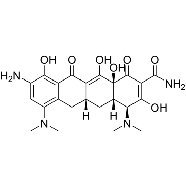 (4S,4aS,5aR,12aS)-9-Amino-4,7-bis(dimethylamino)-3,10,12,12a-tetrahydroxy-1,11-dioxo-1,4,4a,5,5a,6,11,12a-octahydrotetracene-2-carboxamide (Minocycline Impurity）|CS-0164641