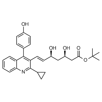 (3R,5S,E)-tert-butyl 7-(2-cyclopropyl-4-(4-hydroxyphenyl)quinolin-3-yl)-3,5-dihydroxyhept-6-enoate  (Pitavastatin Impuruity）|CS-0164798