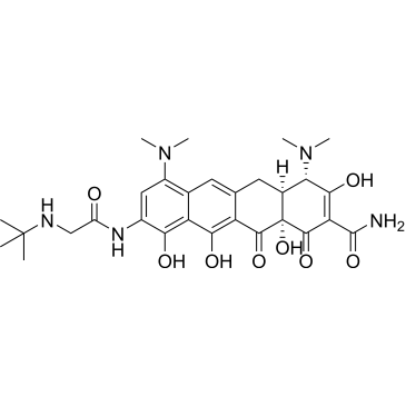 (4S,4aS,12aS)-9-(2-(tert-butylamino)acetamido)-4,7-bis(dimethylamino)-3,10,11,12a-tetrahydroxy-1,12-dioxo-1,4,4a,5,12,12a-hexahydrotetracene-2-carboxamide  (Tigecycline Impuruity）|CS-0165364