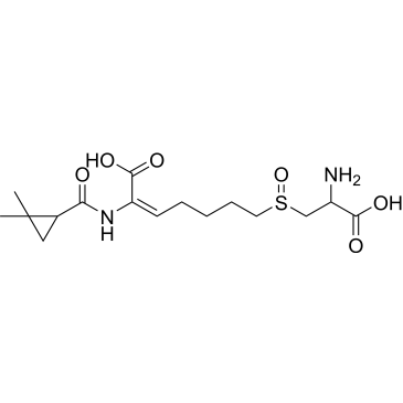 (E)-7-((2-Amino-2-carboxyethyl)sulfinyl)-2-(2,2-dimethylcyclopropane-1-carboxamido)hept-2-enoic Acid Cilastatin Impurity|CS-0165405
