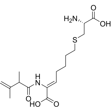 (Z)-7-(((R)-2-amino-2-carboxyethyl)thio)-2-(2,3-dimethylbut-3-enamido)hept-2-enoic acid  Cilastatin Impurity|CS-0165409