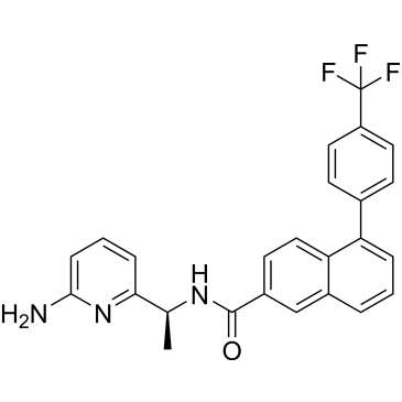 CS-0167567