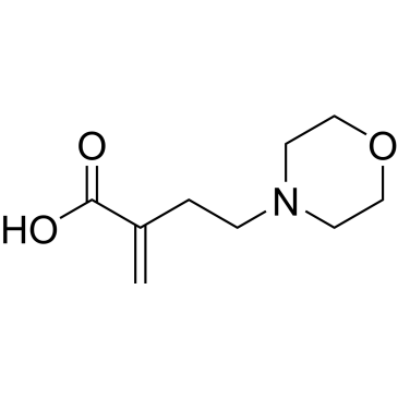 2-Methylene-4-morpholinobutanoic acid|CS-0169480