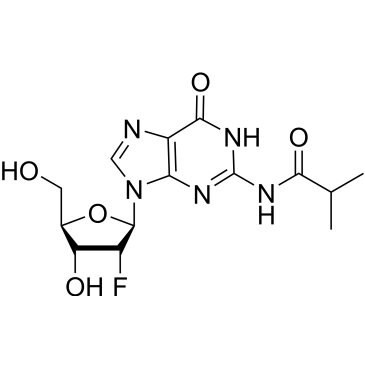 2'-F-iBu-G|CS-0171666