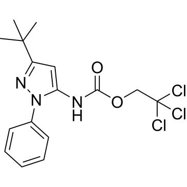 2,2,2-Trichloroethyl(3-(tert-Butyl)-1-phenyl-1H-pyrazol-5-yl)carbamate|CS-0171693