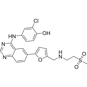 O-De(3-fluorobenzyl) Lapatinib Lapatinib Impurity|CS-0173181