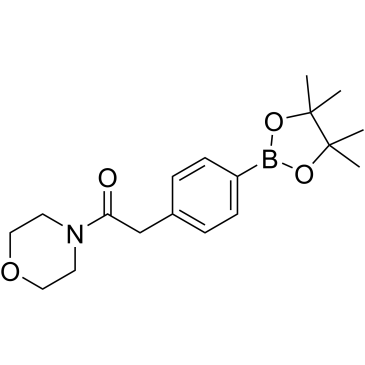 1-Morpholino-2-(4-(4,4,5,5-tetramethyl-1,3,2-dioxaborolan-2-yl)phenyl)ethan-1-one|CS-0173825