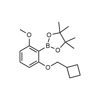 2-(2-(Cyclobutylmethoxy)-6-methoxyphenyl)-4,4,5,5-tetramethyl-1,3,2-dioxaborolane|CS-0173888