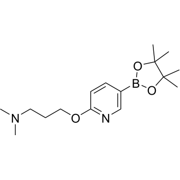 N,N-Dimethyl-3-((5-(4,4,5,5-tetramethyl-1,3,2-dioxaborolan-2-yl)pyridin-2-yl)oxy)propan-1-amine|CS-0173903