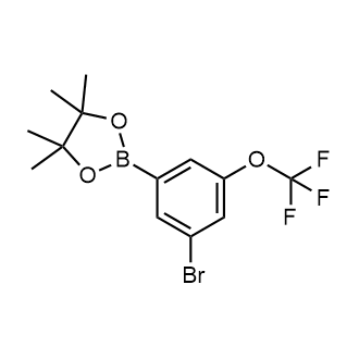 2-(3-bromo-5-(trifluoromethoxy)phenyl)-4,4,5,5-tetramethyl-1,3,2-dioxaborolane|CS-0173977
