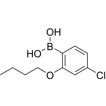 (2-Butoxy-4-chlorophenyl)boronic acid|CS-0174032