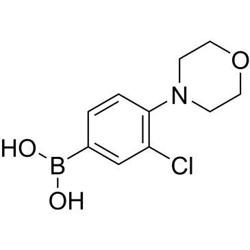 (3-Chloro-4-morpholinophenyl)boronic acid|CS-0174413