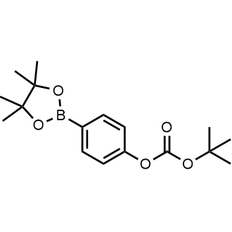 Tert-butyl (4-(4,4,5,5-tetramethyl-1,3,2-dioxaborolan-2-yl)phenyl) carbonate|CS-0174840
