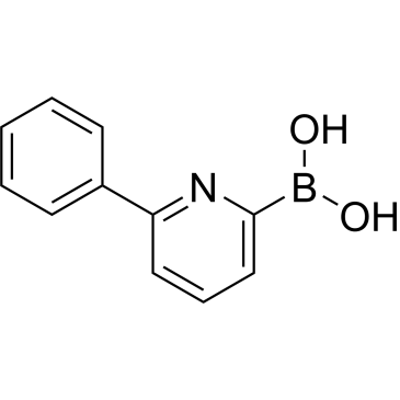 (6-Phenylpyridin-2-yl)boronic acid|CS-0174996