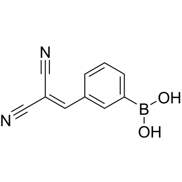 (3-(2,2-Dicyanovinyl)phenyl)boronic acid|CS-0175206