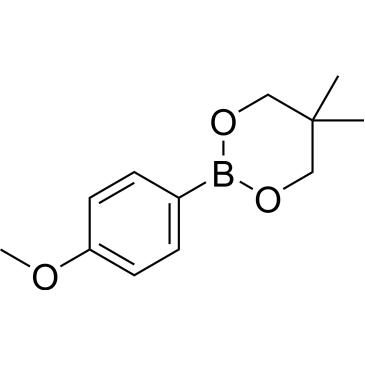 2-(4-Methoxyphenyl)-5,5-dimethyl-1,3,2-dioxaborinane|CS-0175747