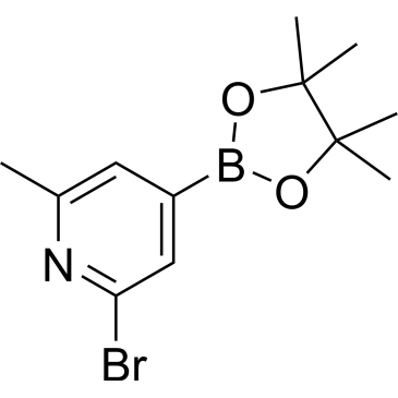 2-Bromo-6-methyl-4-(4,4,5,5-tetramethyl-1,3,2-dioxaborolan-2-yl)pyridine|CS-0176311