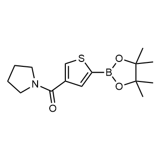 Pyrrolidin-1-yl(5-(4,4,5,5-tetramethyl-1,3,2-dioxaborolan-2-yl)thiophen-3-yl)methanone|CS-0176331