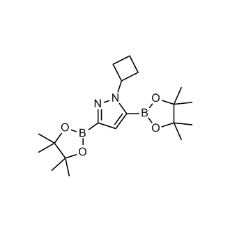 1-Cyclobutyl-3,5-bis(4,4,5,5-tetramethyl-1,3,2-dioxaborolan-2-yl)-1H-pyrazole|CS-0176775