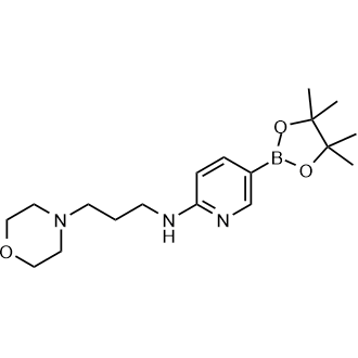 N-[3-(Morpholin-4-yl)propyl]-5-(tetramethyl-1,3,2-dioxaborolan-2-yl)pyridin-2-amine|CS-0177165