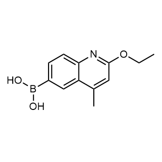 (2-Ethoxy-4-methylquinolin-6-yl)boronic acid|CS-0177205