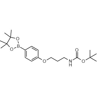 (3-[4-(4,4,5,5-Tetramethyl-[1,3,2]dioxaborolan-2-yl)-phenoxy]-propyl)-carbamic acid tert-butyl ester|CS-0177722