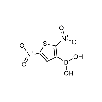 2,5-Dinitrothiophene-3-boronic acid|CS-0177888