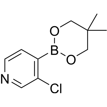 3-Chloro-4-(5,5-dimethyl-1,3,2-dioxaborinan-2-yl)pyridine|CS-0177923