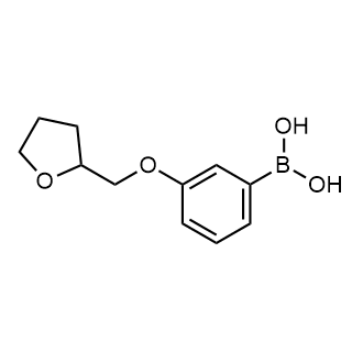 3-(Oxolan-2-ylmethoxy)phenylboronic acid|CS-0178743
