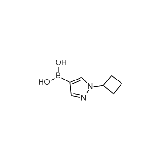 (1-Cyclobutylpyrazol-4-yl)boronic acid|CS-0178860