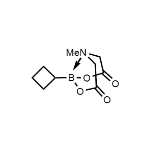 Cyclobutylboronic acid mida ester|CS-0179001