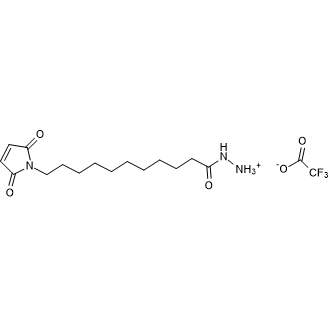 KMUH(N-(κ-maleimidoundecanoic acid)hydrazide, trifluoroacetic acid salt)|CS-0181355